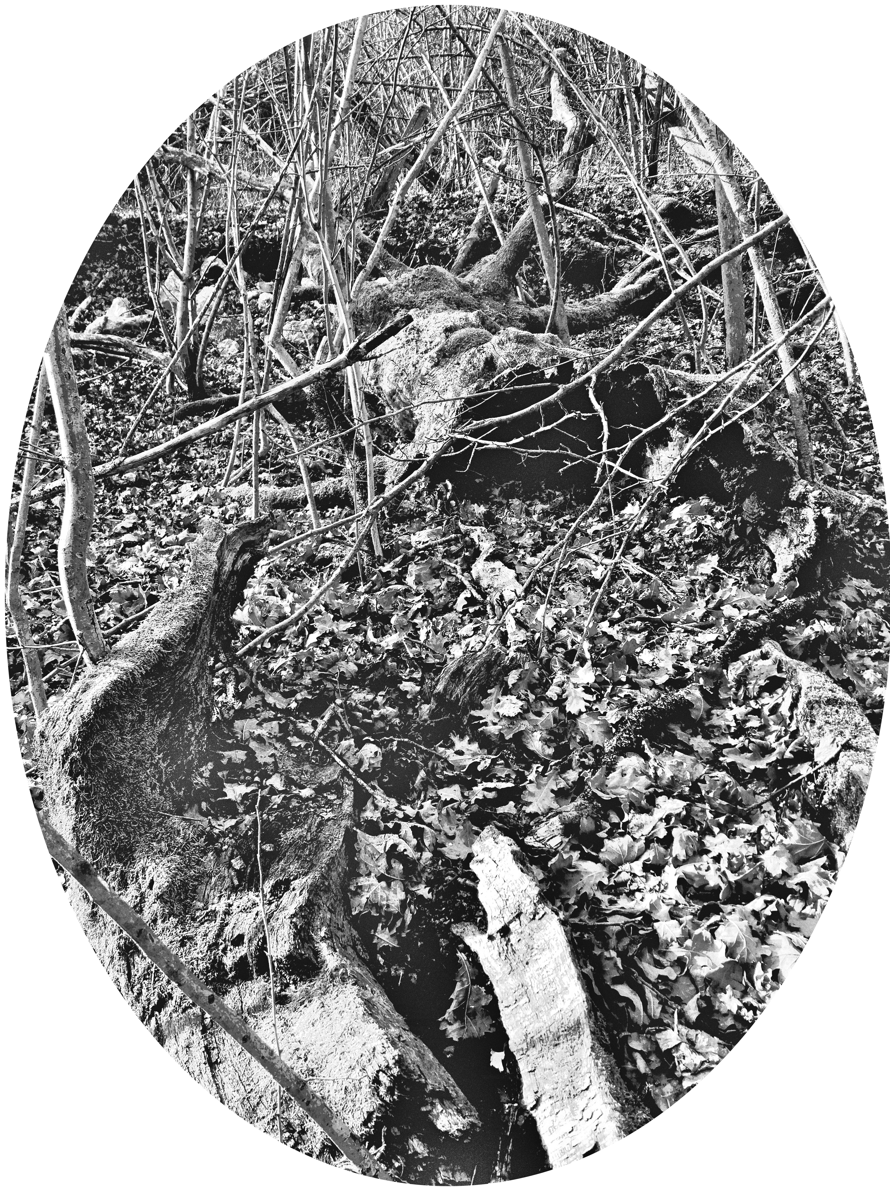 AZ-oHm - compositions et bandes sons pour projets audiovisuels